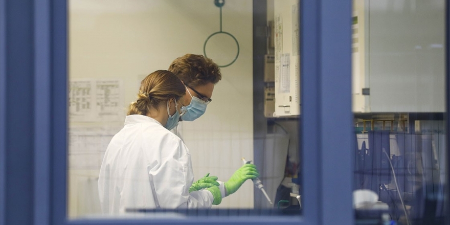 2020'ye Damga Vuran 10 Bilimsel Buluş Belli Oldu