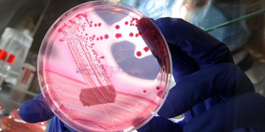 Sma Hastalığında Gen Tedavisine İlişkin Yeterli Klinik Deneme Bulunmuyor