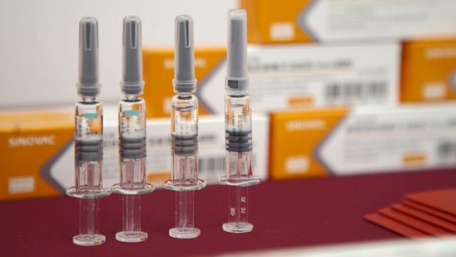 Sinovac Aşısı, Brezilya'daki Denemelerde Yüzde 78 Etkinlik Gösterdi