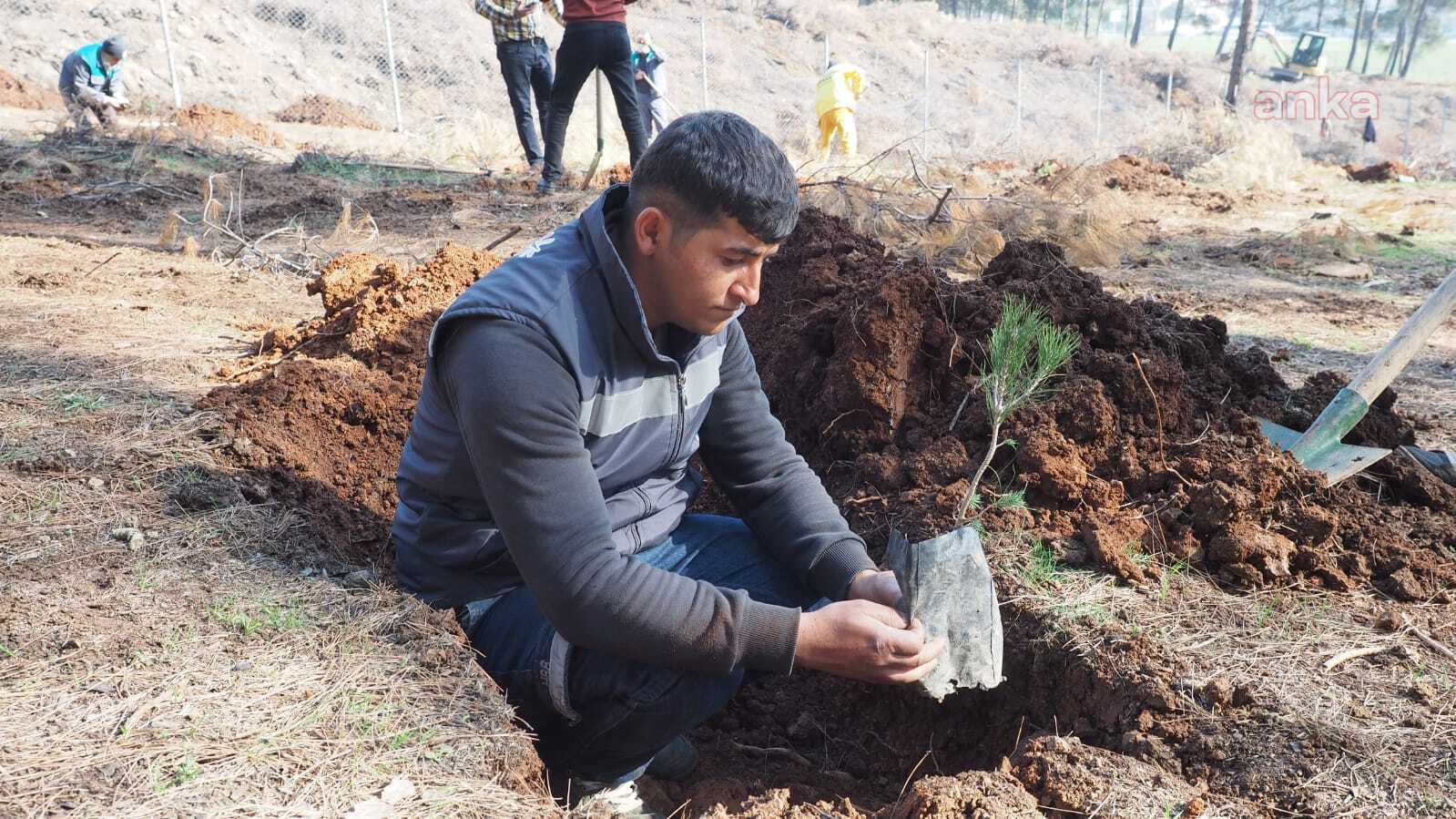 Hatay Büyükşehir Belediyesi, 1 Milyon Hedefine Gidiyor
