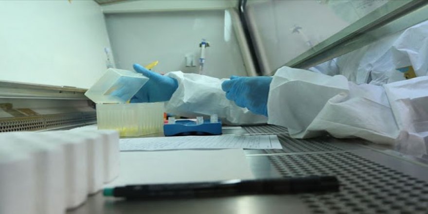 Ankara'da 9 Ayda Yakılan PCR Testi Atığı Belli Oldu