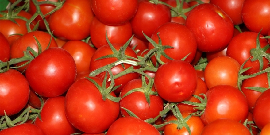 İstanbullular 2020 Yılında En Çok Domates Ve Patates Tüketti