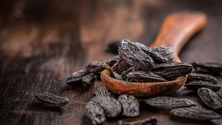 Tonka Fasulyesi Nedir?