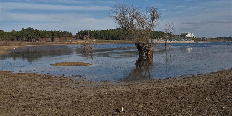 Bilecik'teki Pelitözü Göleti'nde Yağış Azlığı Nedeniyle Sular 30 Metre Çekildi