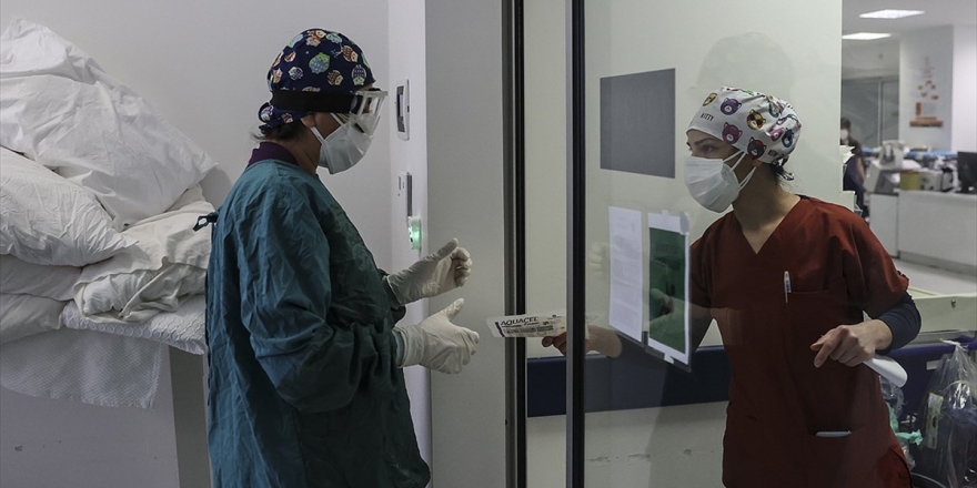 Türkiye'de Son 24 Saatte 9 Bin 138 Kişinin Kovid-19 Testi Pozitif Çıktı, 176 Kişi Hayatını Kaybetti