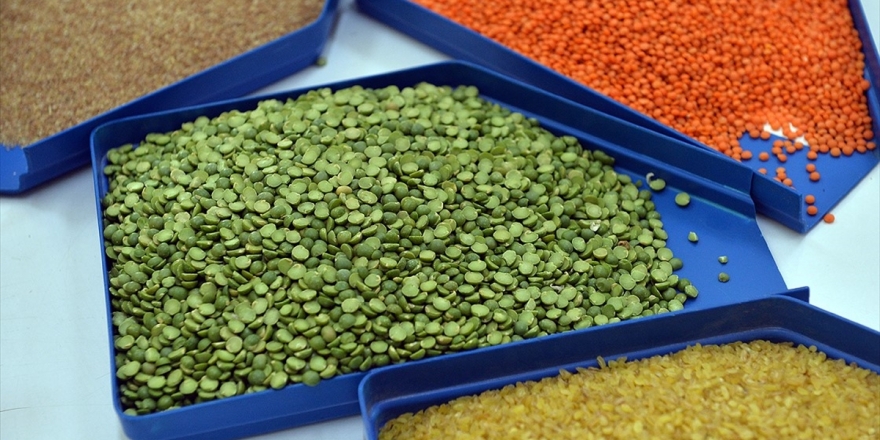 Hububat Ve Bakliyat Sektöründe İhracat İlk Defa 7 Milyar Doları Aştı