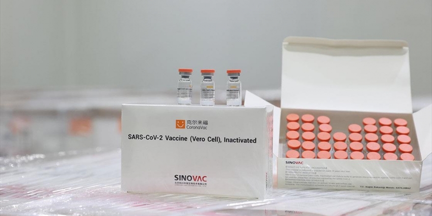 Türkiye İlaç Ve Tıbbi Cihaz Kurumu Coronavac Aşısı İçin 'Acil Kullanım Onayı' Verdi