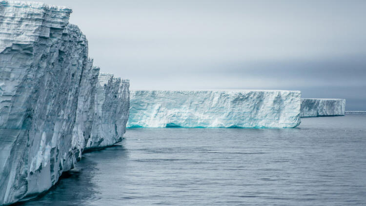 Cardiff Üniversitesi: Dünya yeni bir buz çağı tehdidiyle karşı karşıya