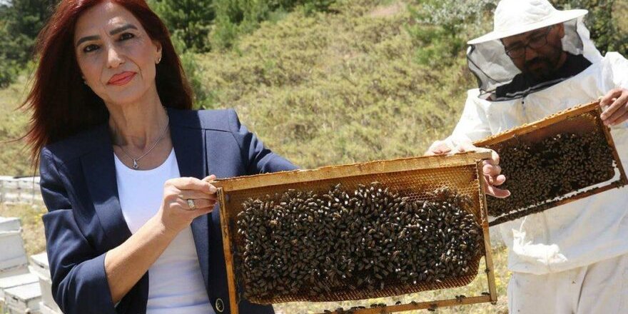 Arılar Covid-19'u tespit Edebiliyor mu?