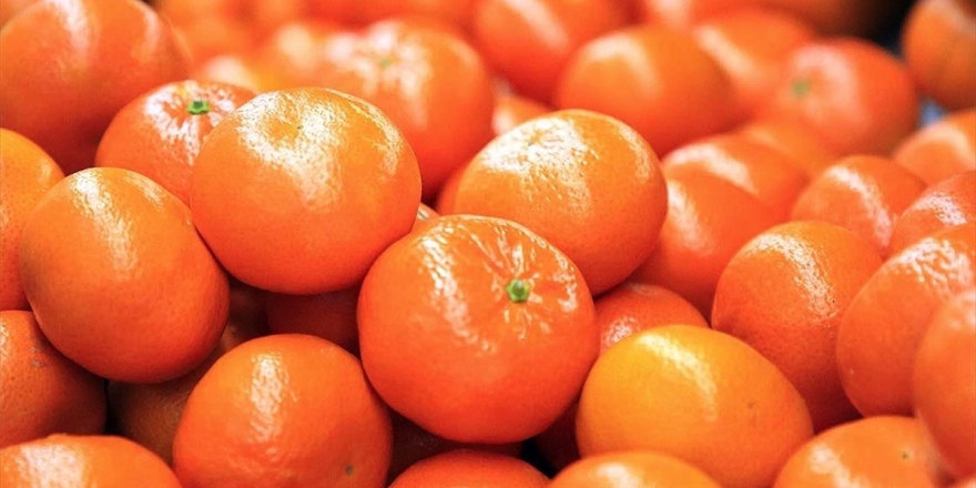 Narenciye İhracatını 2020'de Mandalina Sırtladı