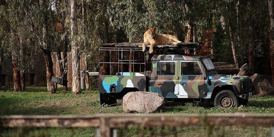 İzmir Doğal Yaşam Parkı Yeni Yüzüyle Salgın Sonrasına Hazır
