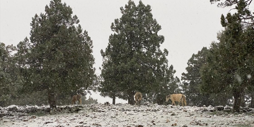 Antalya'nın Kaş İlçesinde Yüksek Kesimler Beyaza Büründü
