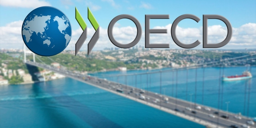 Oecd İstanbul Merkezi Yarın Açılacak