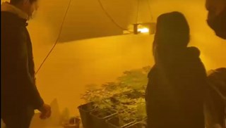 Üstü emlakçı, altı uyuşturucu serası