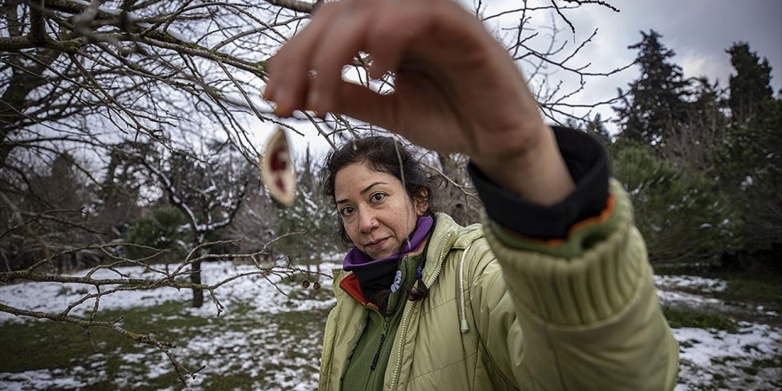 Kadın Girişimci Doğadan Topladıklarını 'Sıfır Atık' Prensibiyle Takıya Dönüştürüyor