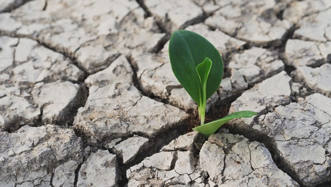 Meteoroloji'den 2020 için kuraklık raporu: Hangi ilde rekor kırıldı, yağışlar ne kadar azaldı?