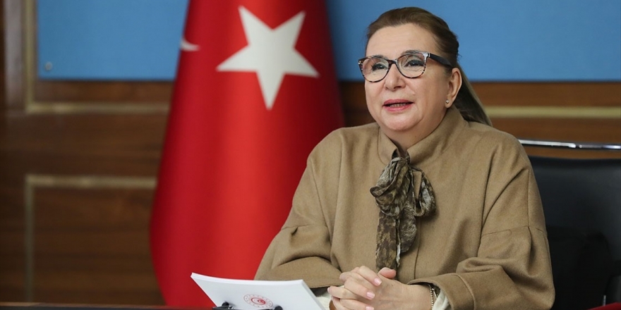 Ticaret Bakanlığı E-ticarette De Piyasa Gözetim Ve Denetim Faaliyetleri Başlatacak