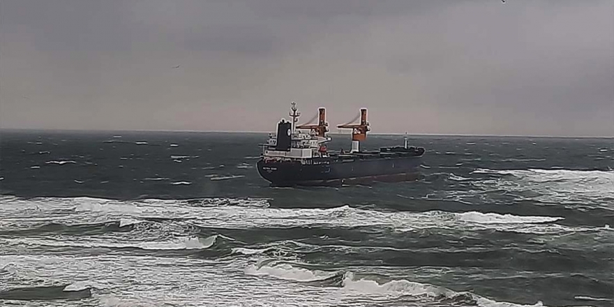 Panama Bandıralı Kargo Gemisi Beykoz Açıklarında Karaya Oturdu