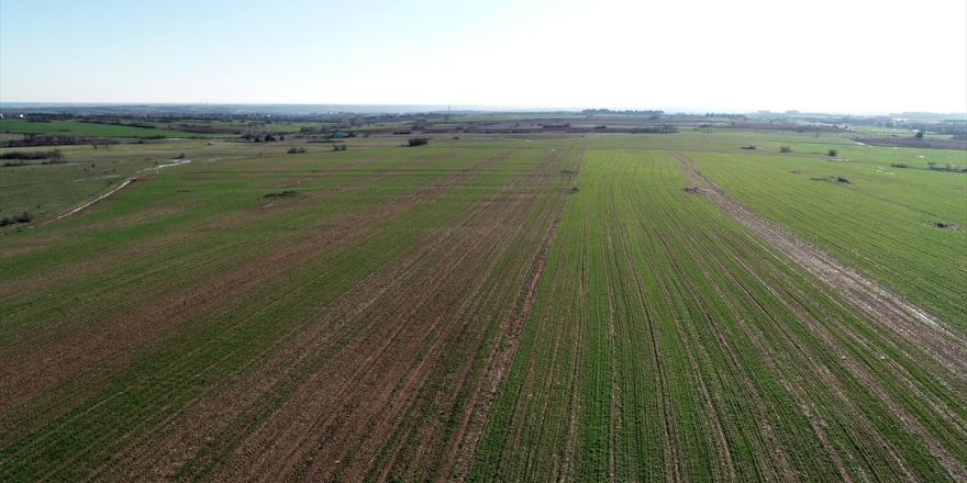 Kütahya'da tarla meselesi kanlı bitti