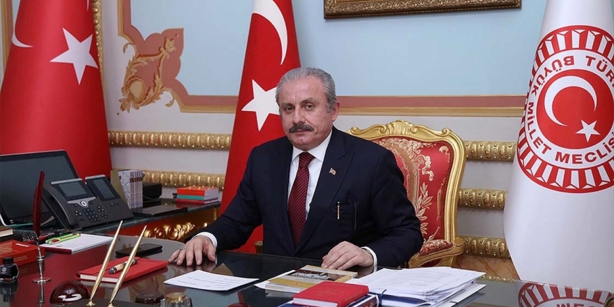 Şentop'tan Yeni Anayasa Açıklaması