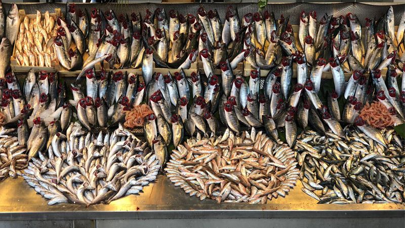 Samsun'da su ürünleri üretimi 2020 yılında katlandı