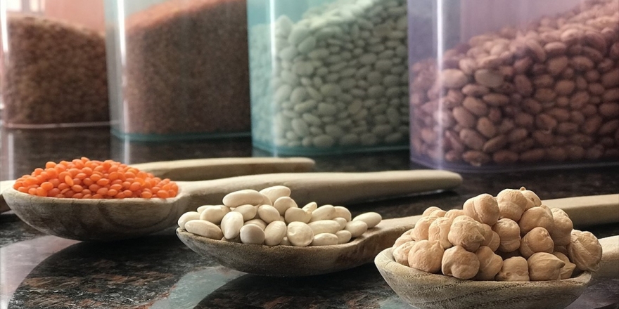 Yağışlar Baklagil Üreticilerini Umutlandırdı