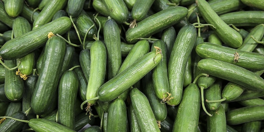 Ocakta En Çok Salatalığın Fiyatı Arttı