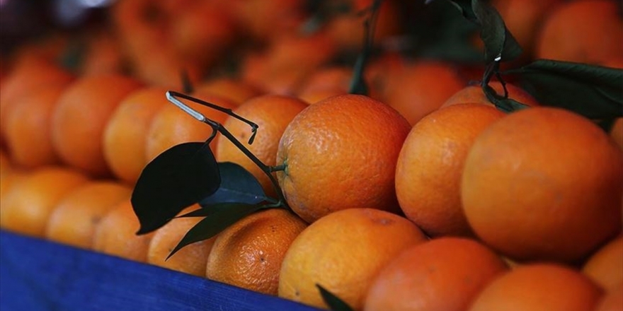 Türkiye'nin Portakal İhracatı 'Salgınla' Yüzde 41 Arttı