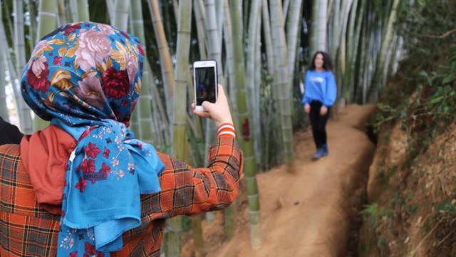 Dedesinin 25 yıl önce diktiği fidanlar ilgi odağı oldu, her gören fotoğraf çektirmeye geliyor