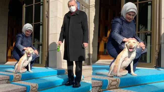 Medya ombudsmanı Faruk Bildirici yazdı: Emine Erdoğan'ı kim kandırıyor?