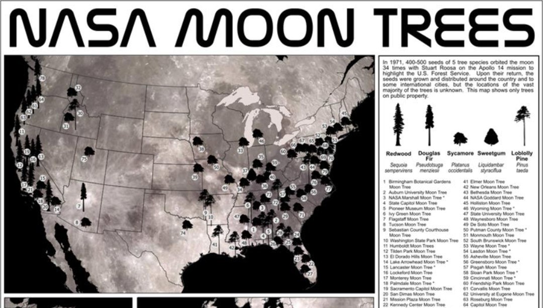 NASA, 50 yılın ardından Ay ağaçlarının haritasını yayınladı