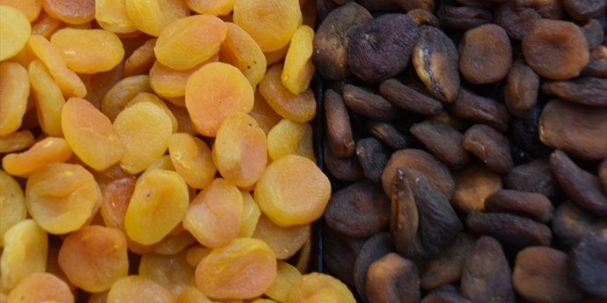 Malatya Kayısısı 105 Ülkede Damakları Tatlandırdı