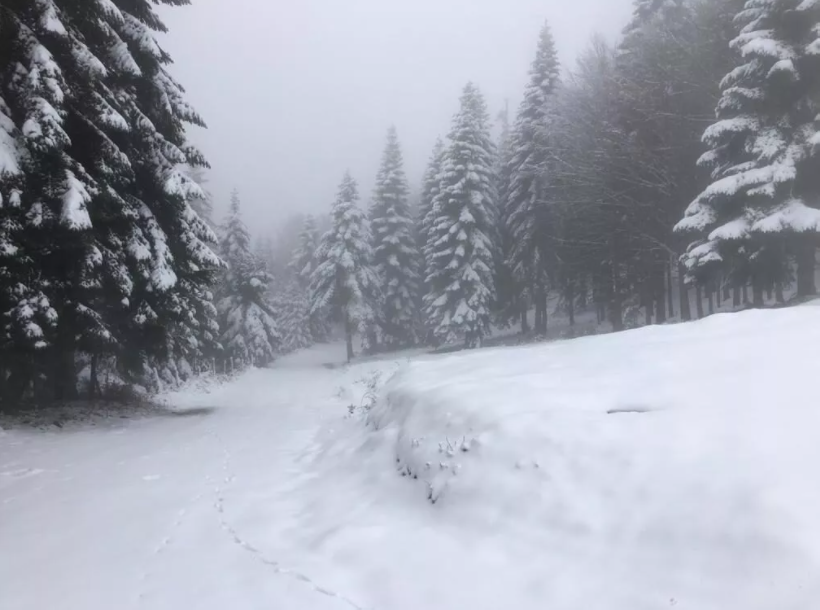 Hendek'te kar yağışı nedeniyle yayla yolları kapatıldı