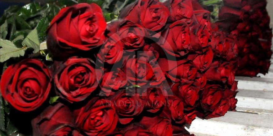 14 Şubatta Çiçek Gönderen sevgililer için kritik uyarı
