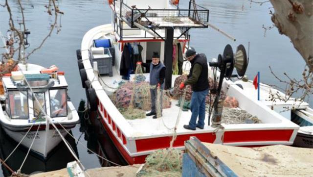 Balıkçıların korkulu rüyası 10 yılın ardından yeniden ortaya çıktı