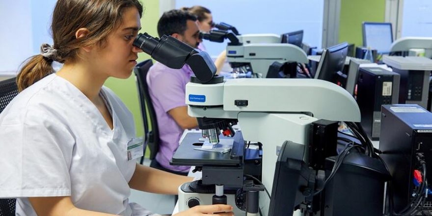 Gut hastalığında kullanılan kolşisin ilacı Covid-19 tedavi sürecini kısaltıyor mu?