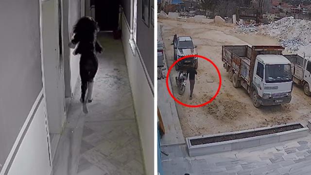 Fabrikanın kapılarını kilitleyip genç kadına saldırdı!