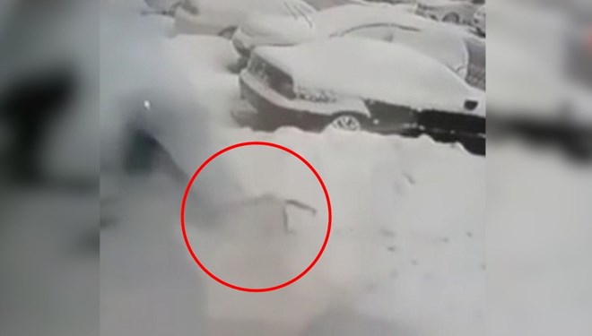 İstanbul'da pitbull dehşeti: Kız çocuğu güçlükle kurtarıldı