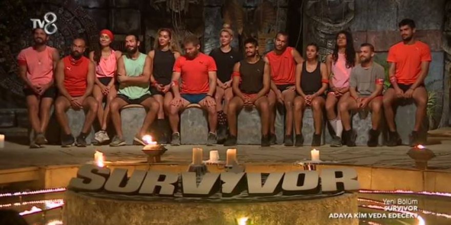 Özdil: Survivor niye bu kadar çok izleniyor?