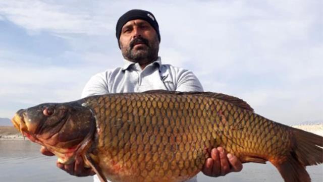 Balıkçıların ağına takılan balık şaşırttı.