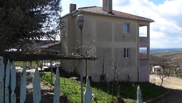 Cinnet getiren genç, kadının hazin sonu.