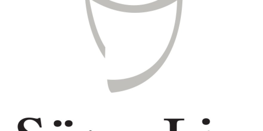 Süper Lig'de 28. hafta maçlarını yönetecek hakemler belli oldu