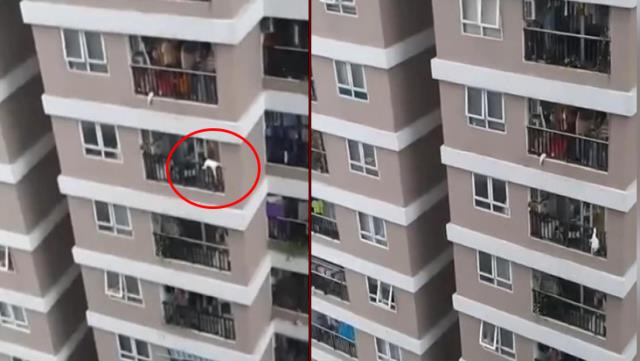 12. kattan düşen küçük kızı çocuğunun büyük şansı