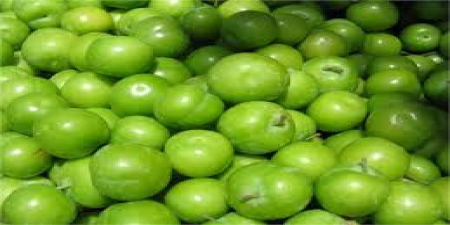 Yeşil eriğin kilosu çeyrek altını geride bıraktı