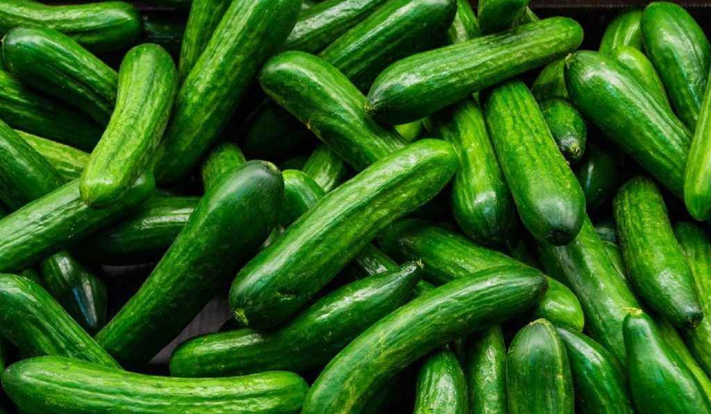 İstanbul’da, şubat ayının zam şampiyonu belli oldu!