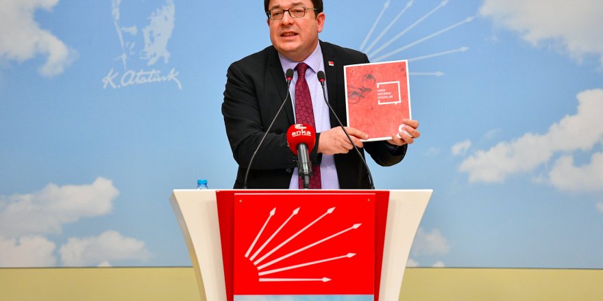 CHP'li Erkek: Ne Reformlar Gördük Zaten Yoktular