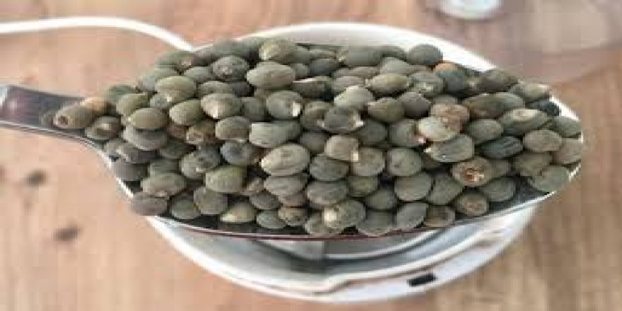 Hafızayı güçlendiriyor ve zayıflatıyor! İşte bamya tohumu mucizevi faydaları...