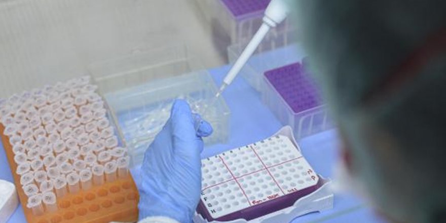 İkinci kez koronavirüse yakalanmada mutasyon ihtimali