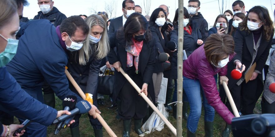 Pervin Buldan ve Ekrem İmamoğlu birlikte fidan dikti