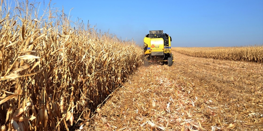 Tarım Bünyesindeki 10 Sektörün 8'iyle İhracatta Atağa Kalktı